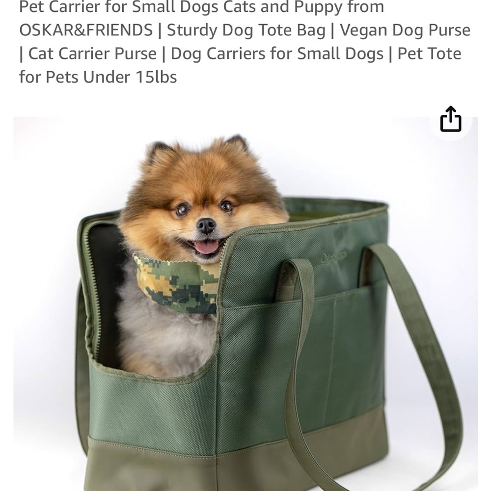 Small Dog Tote Carrier